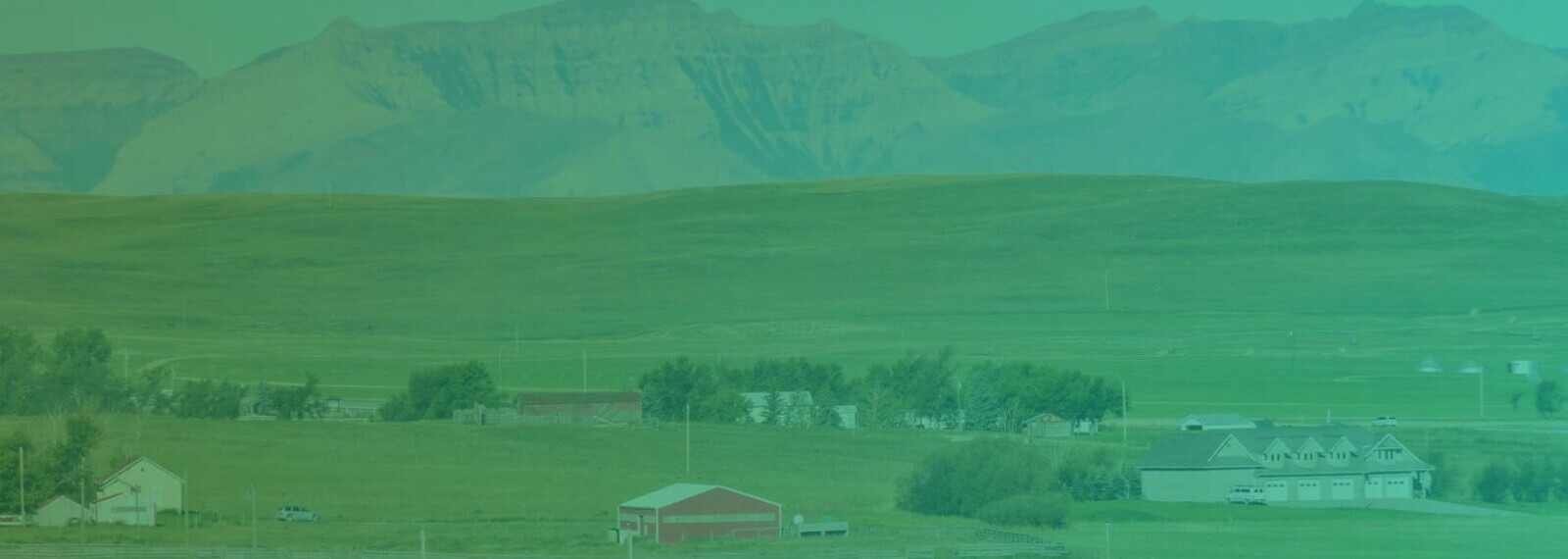 Cardston Affordable Housing Needs Survey