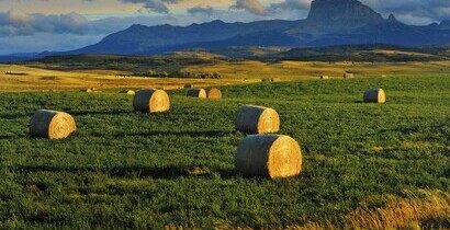 learn more about economic development in the Town of Cardston